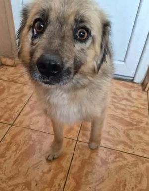 623773089 25867907126183203 9013026791556993649 n