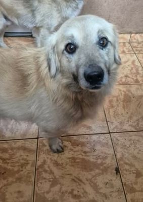 623843541 25867834966190419 8706103146447322758 n