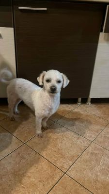 624139036 25835736736066909 3826514703056623081 n