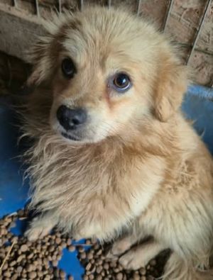 624156627 25863170903323492 9044309515263308018 n