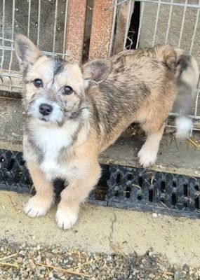 624158434 768770682453081 7206750039665177781 n