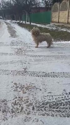 624225180 25525207140496478 7383510468993296217 n