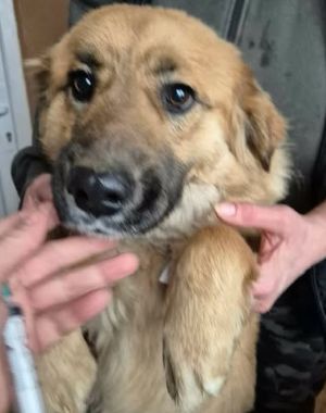 624229438 25863339406639975 23533987107151025 n