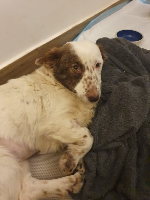 624237226 2744743212576830 2832317332277816540 n