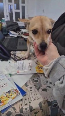 624245055 1414064063601038 2447044434967657060 n