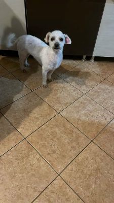 624258804 25835736592733590 5288216495678928142 n