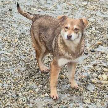 624720080 766237873203829 6225060808426193149 n