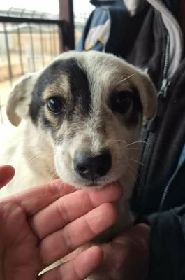 625010151 25867975159509733 2637243455992405255 n