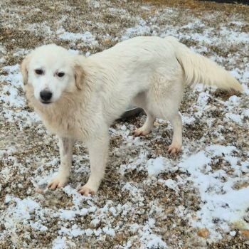 625103861 1244272103871654 143953479738390957 n