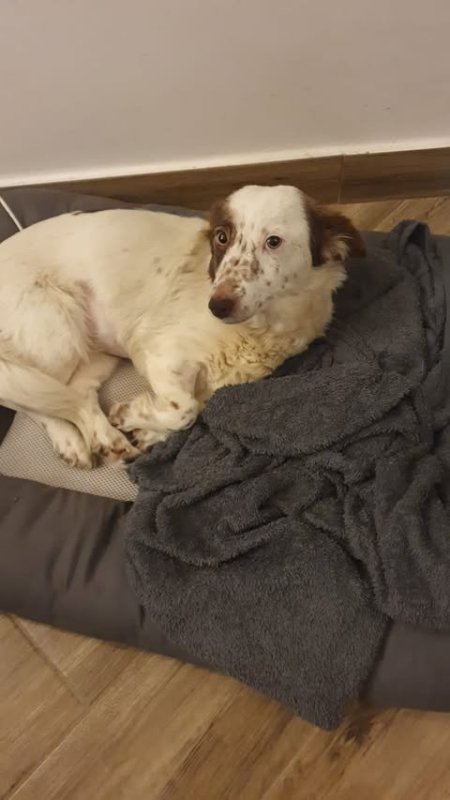 625256378 2744743215910163 1827770541571620754 n