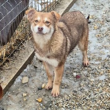 625300887 1285515473405089 8117498281124338379 n