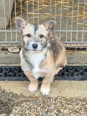 625342591 1223959973236073 899669213920659985 n