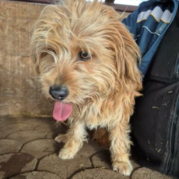 625362607 1364730615422301 8799068090071698447 n