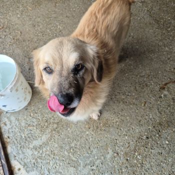 625491576 1619014029112947 8466846272489240787 n