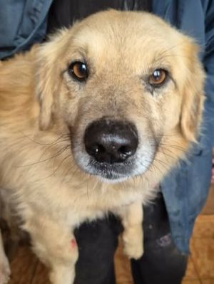 625497191 25867835142857068 4580235328770425663 n