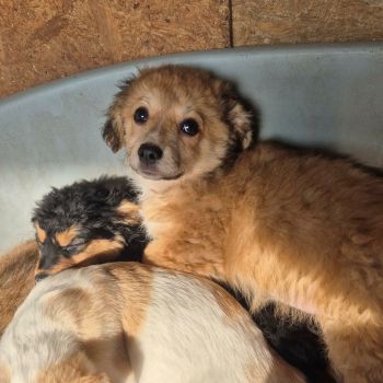 625898917 1618988759287531 1851252519369994205 n