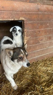 625963913 25867974806176435 1815690522584598977 n