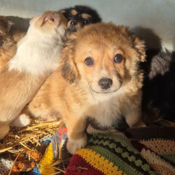 625969357 1427808992065781 2349011426217224123 n