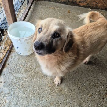 625969357 2026264581488810 8199325495982788716 n