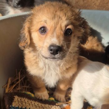 625985164 885420710768756 5123122189761075672 n