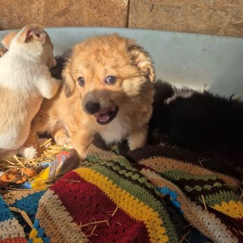 626179973 935157866130112 6690026824948681946 n