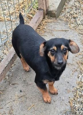 626221819 926173696440341 2396846788501697494 n