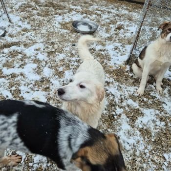 626306006 1888426325376703 2035097514642402899 n