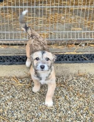 626335791 910734817987531 9033081927668701682 n