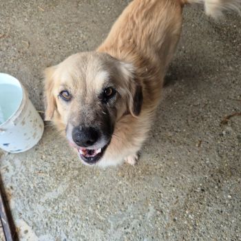 626389228 4245373739062230 7466444668234996332 n