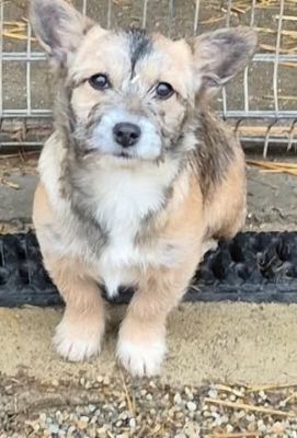 626444680 1397394678786064 1652353508356930186 n