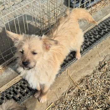 626450803 718140878047160 6017592207794601664 n