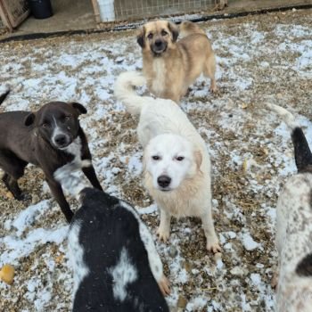 626457101 1964820944243436 6394877587977066937 n