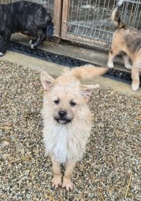 626464040 3741811659288439 3687503018813647280 n