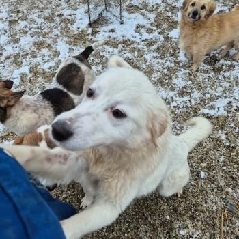 626526935 1817628215612572 4069891125955495129 n