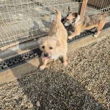 626624019 1448254596880772 2558688679699600573 n