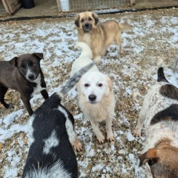 626667964 1105162061684151 3422359463055795363 n