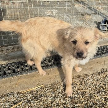 627180554 917117184606827 2940692942016456587 n