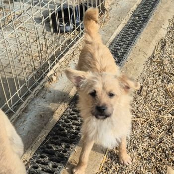 627258634 772002358797910 1778427704193276481 n