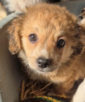 627498535 2691910767839089 1463163310047579595 n