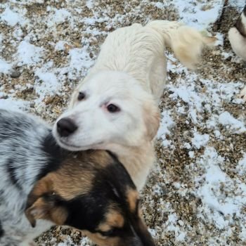 627656724 1317235083782553 7525987647595063108 n