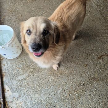 627661187 882504294624042 4739135343865352110 n