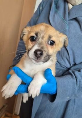 627688119 25934669326173649 3857940831664523269 n