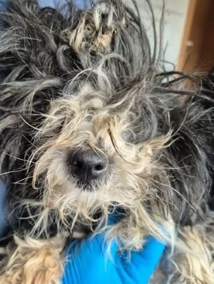 627711155 25934781439495771 6506923704406810323 n