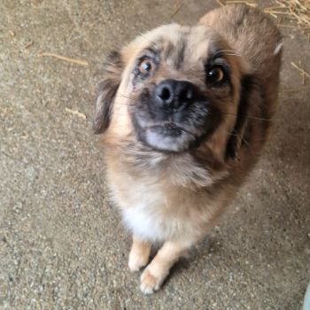 627861369 1722694752450088 1937892824876558332 n