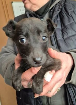 627927228 25934440862863162 3524344018816875887 n