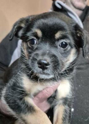 627972090 25935028169471098 293573761289663596 n