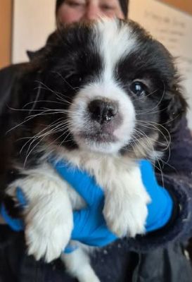 628005867 25935121342795114 9045752859657348422 n