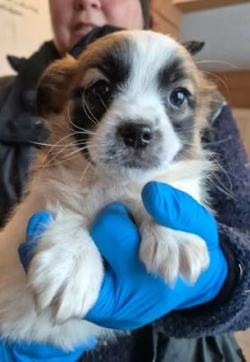 628027547 25934940552813193 5206721302380954515 n