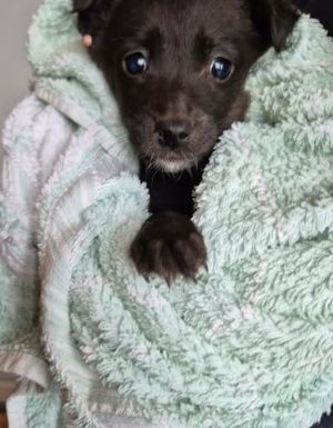 628036743 25934625216178060 2498834187638253753 n