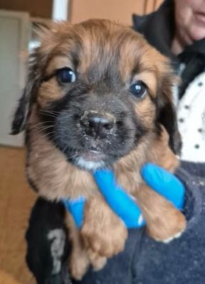 628047735 25935068046133777 3065316790191091344 n